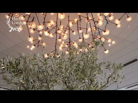 la veranda home & garden
