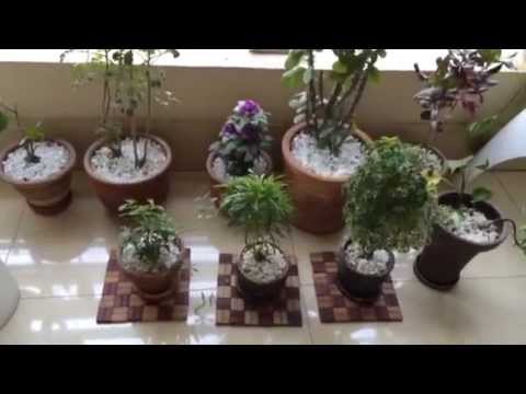 veranda design in bangladesh