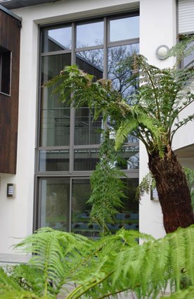 sablalu veranda
