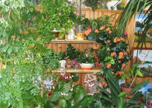 veranda non chauffÃ©e