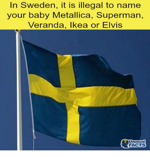 veranda metallica