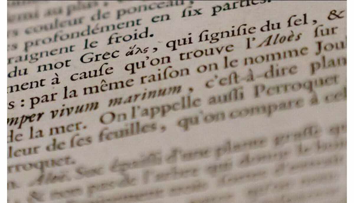 vÃ©randa dÃ©finition larousse
