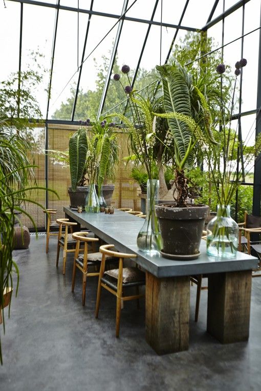 jardin interieur veranda