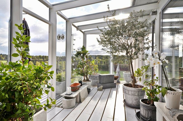 amenagement veranda jardin