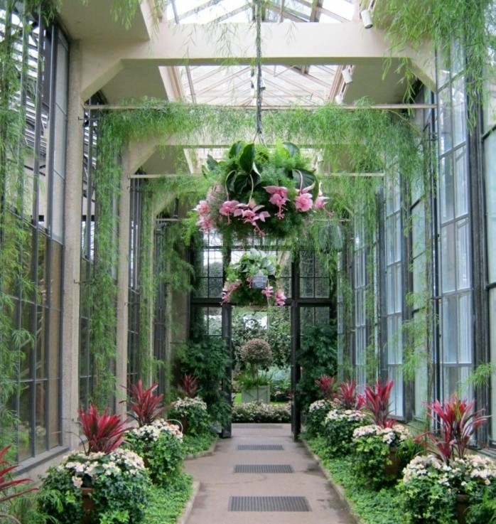 plantes jardin d'hiver veranda