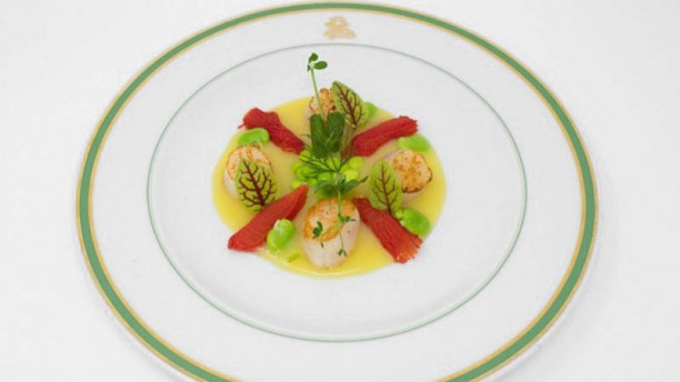 veranda cuisine belgique