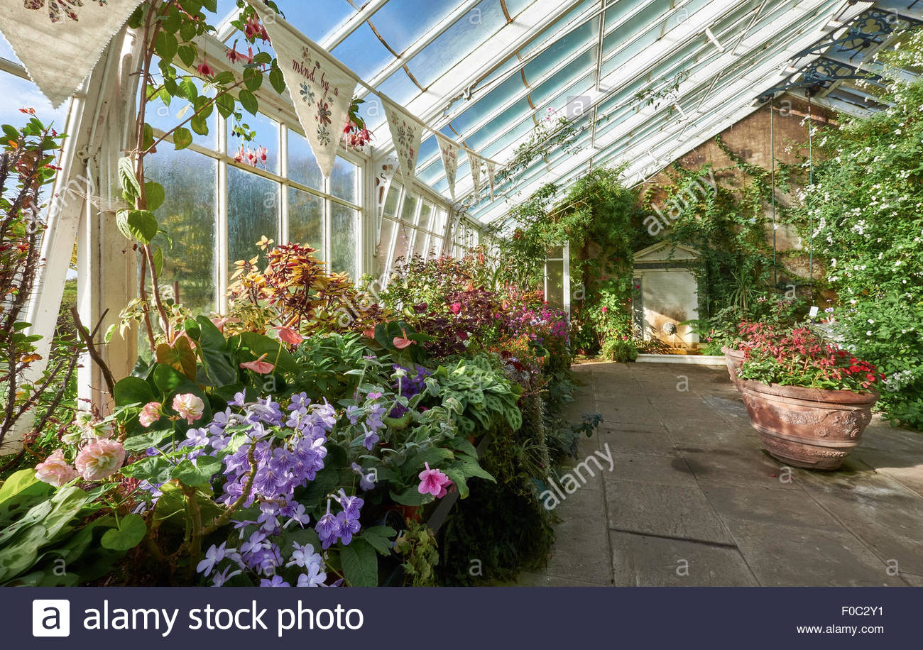 plante veranda nord