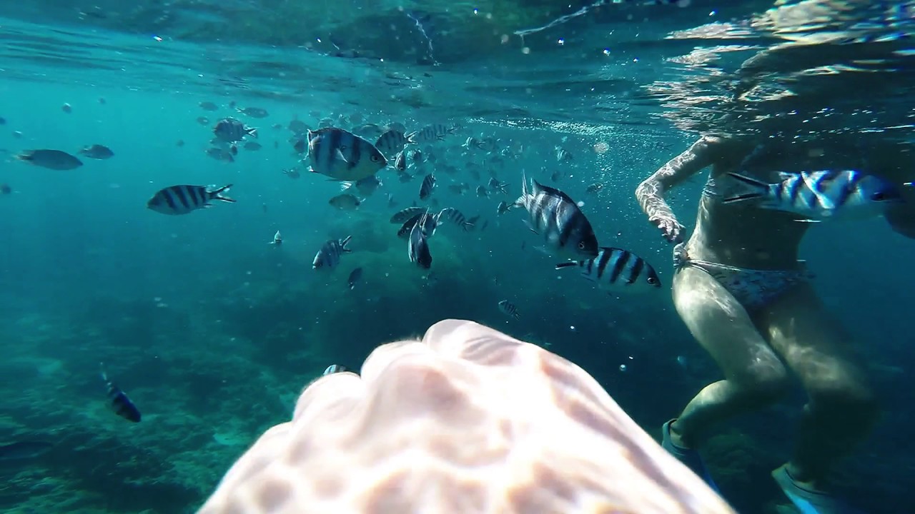 veranda pointe aux biches snorkeling