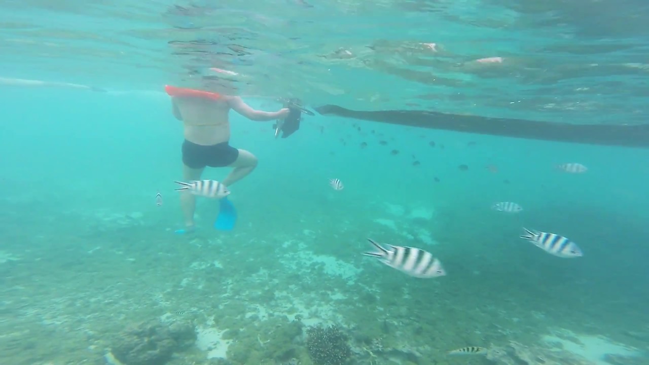 veranda pointe aux biches snorkeling