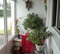 modele petite veranda