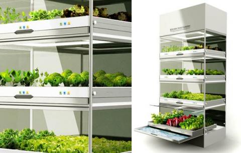 veranda gardening
