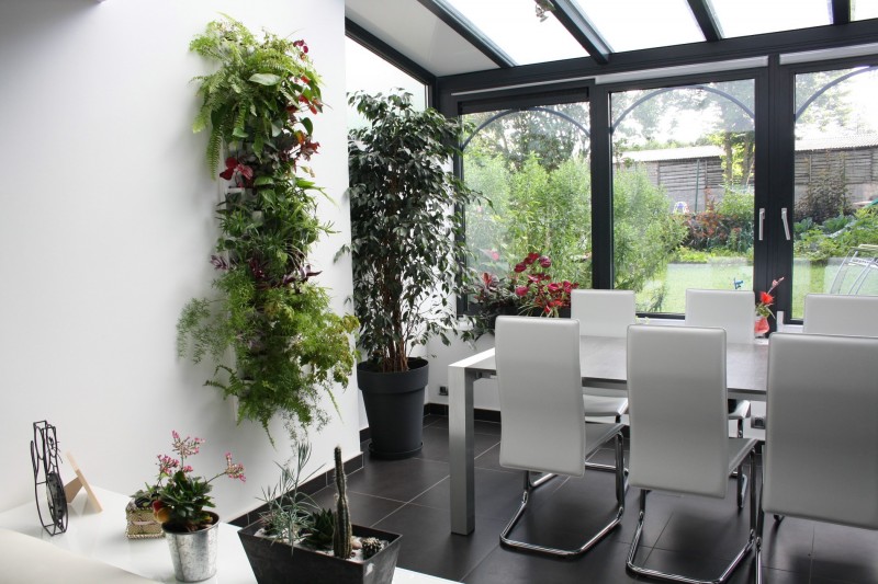 amenagement mur veranda