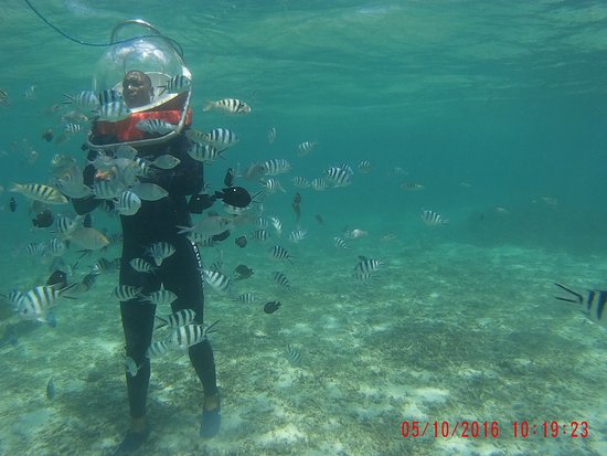 veranda pointe aux biches snorkeling