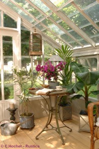 plante de veranda