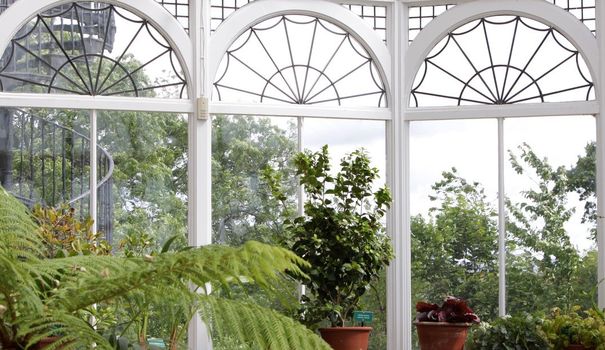plante veranda nord