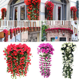 veranda d'occasion ebay