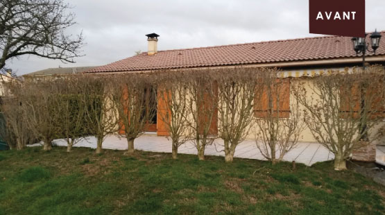 veranda bois auvergne