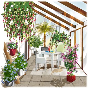 veranda du soleil