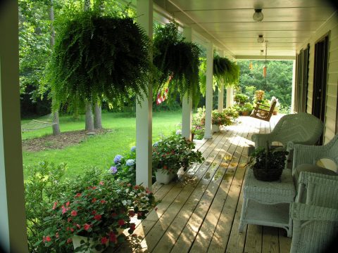 veranda nature