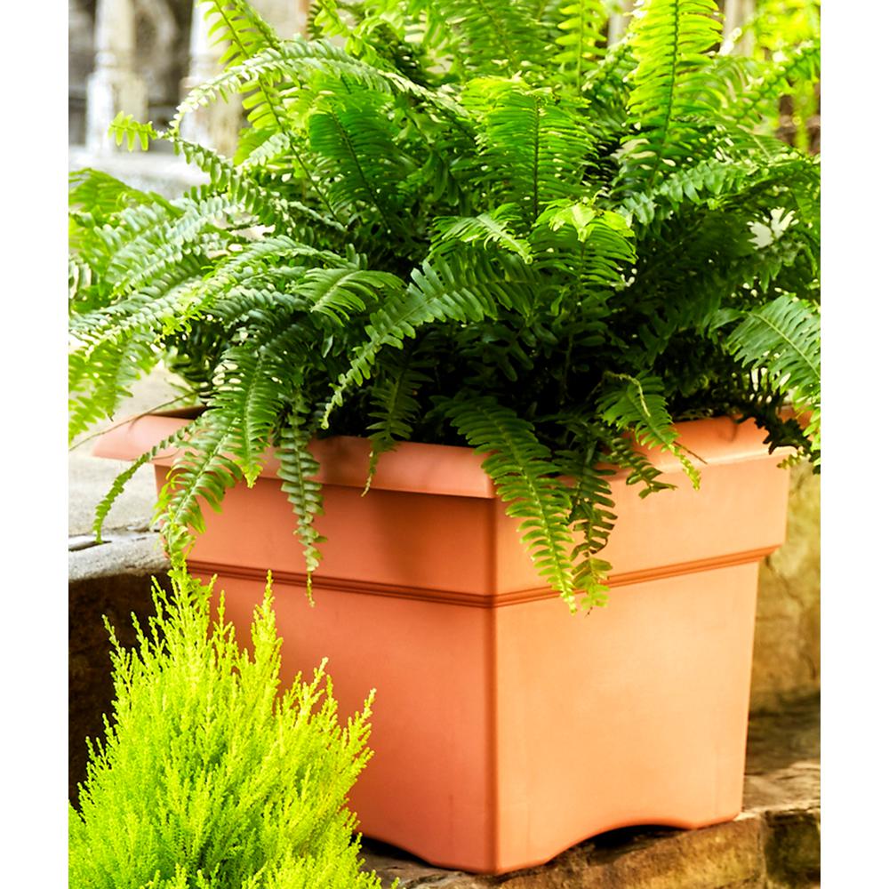 veranda box home depot