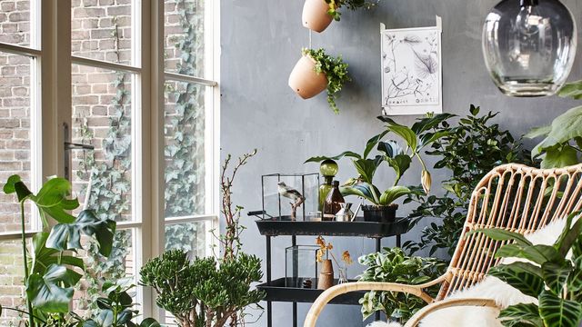 veranda deco recup