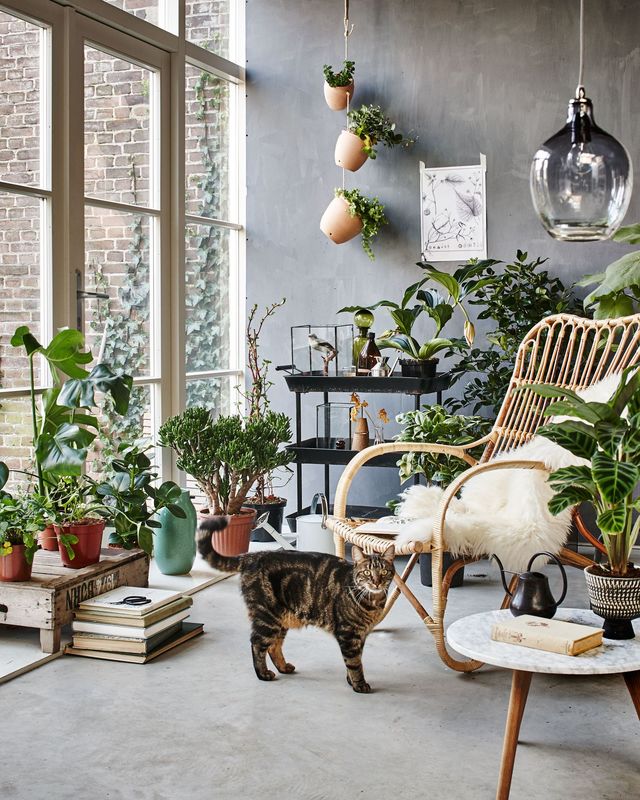 dÃ©co veranda photos