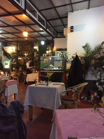 veranda lounge alger