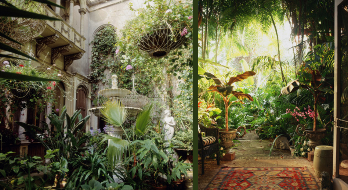 plante de veranda