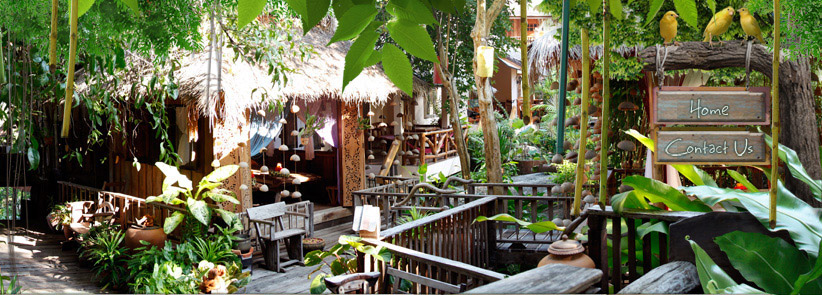 veranda garden resort koh samui