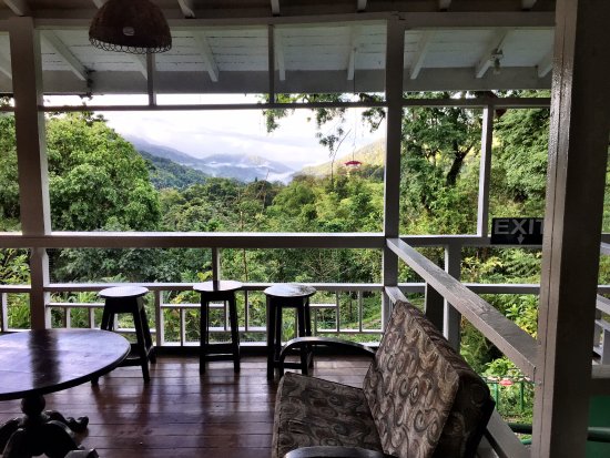 veranda nature