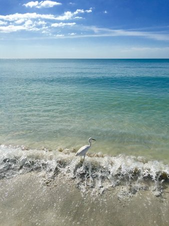 veranda beach club tripadvisor