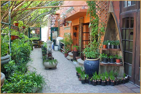 veranda garden and design