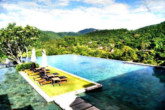 veranda high resort chiang mai pool