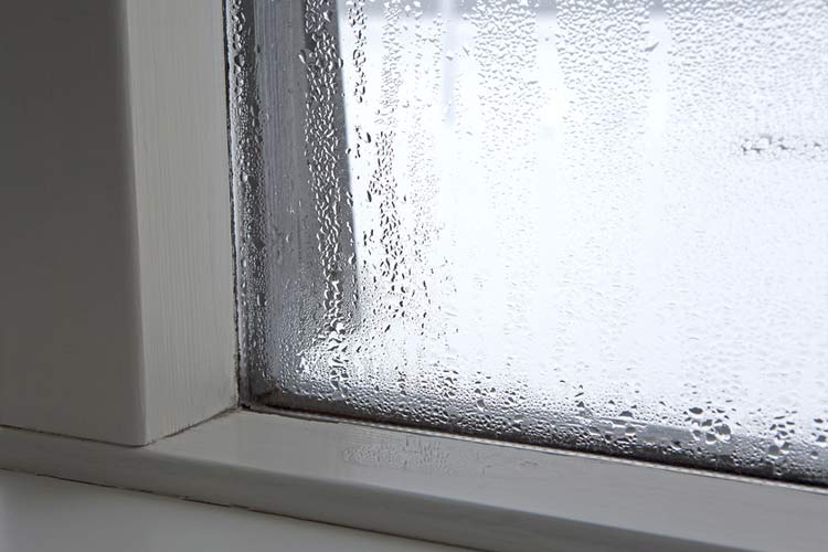 condensation veranda hiver