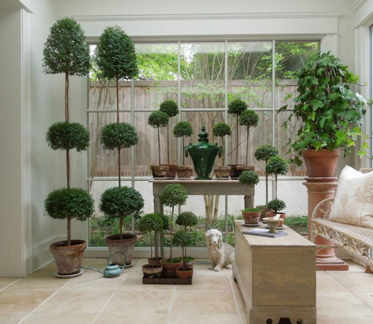 plante veranda nord