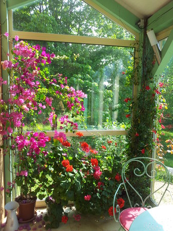 veranda fleurie