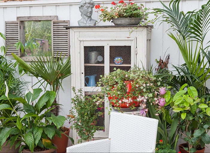 plante de veranda