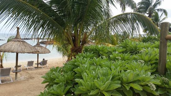 veranda grand baie hotel tripadvisor
