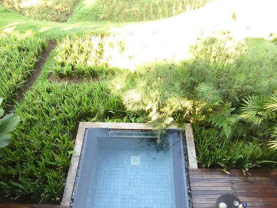 veranda chiangmai the high resort (plunge pool pavilion)