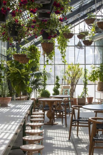plantes vÃ©randa hiver