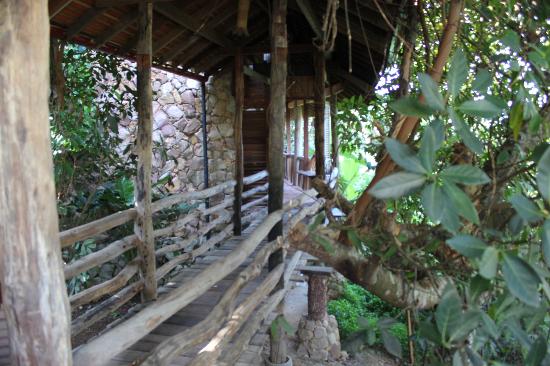 veranda nature