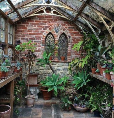 plantes jardin d'hiver veranda