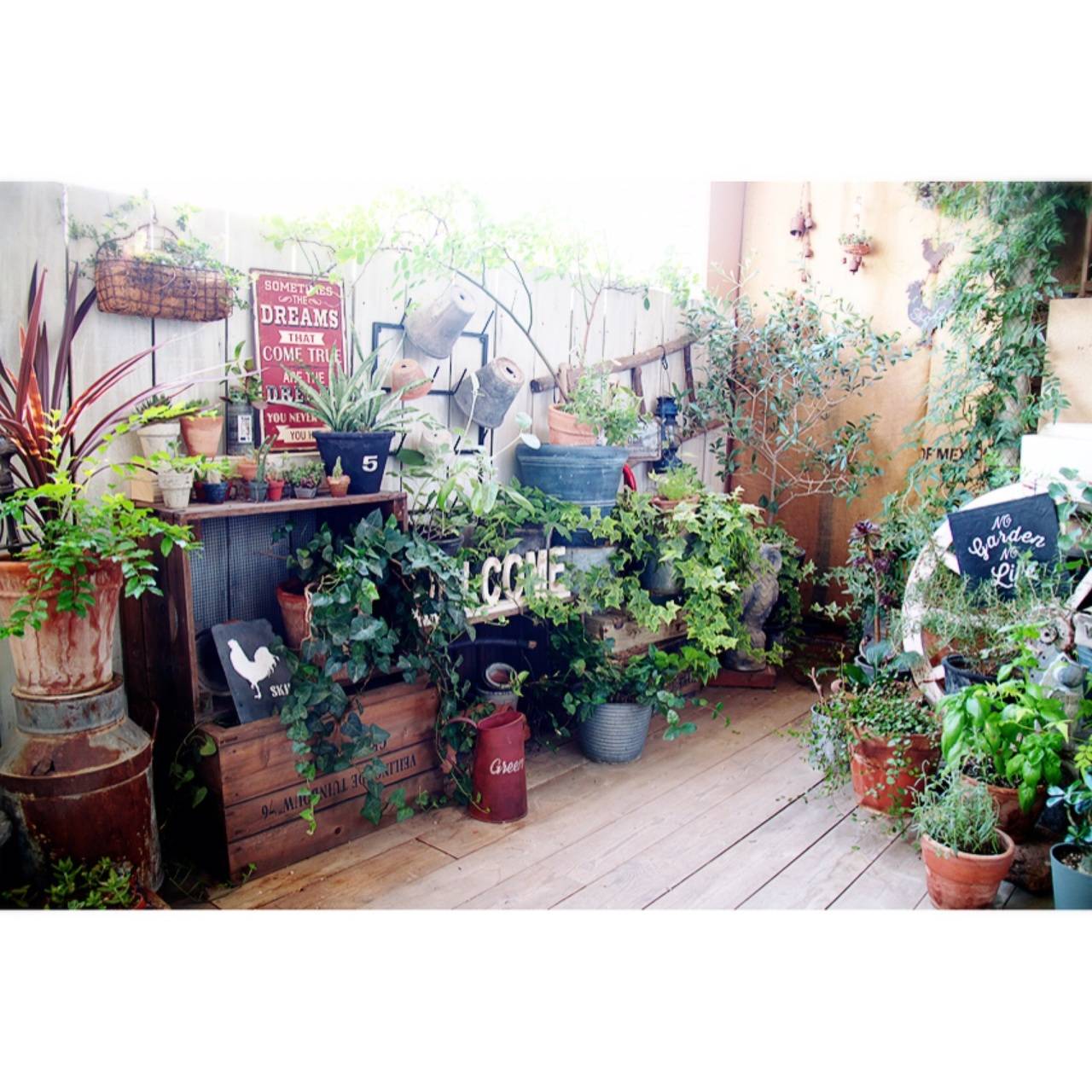 garden dreams veranda
