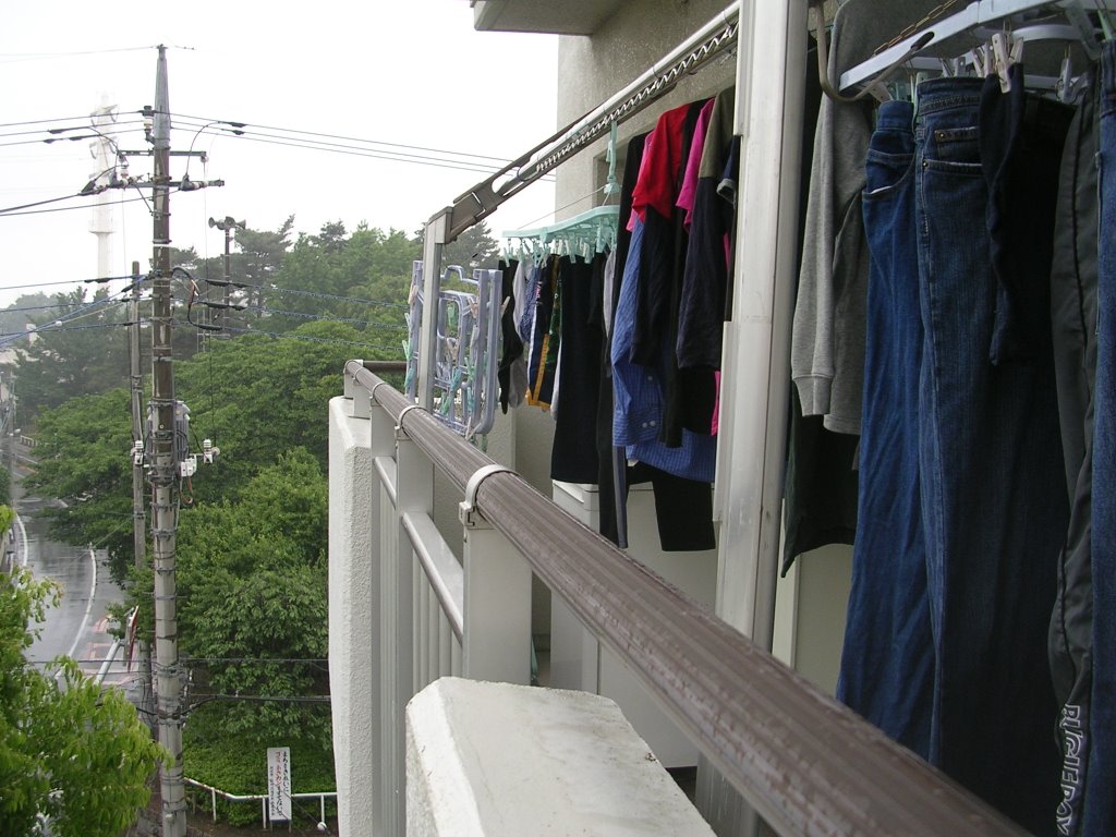 veranda area meaning